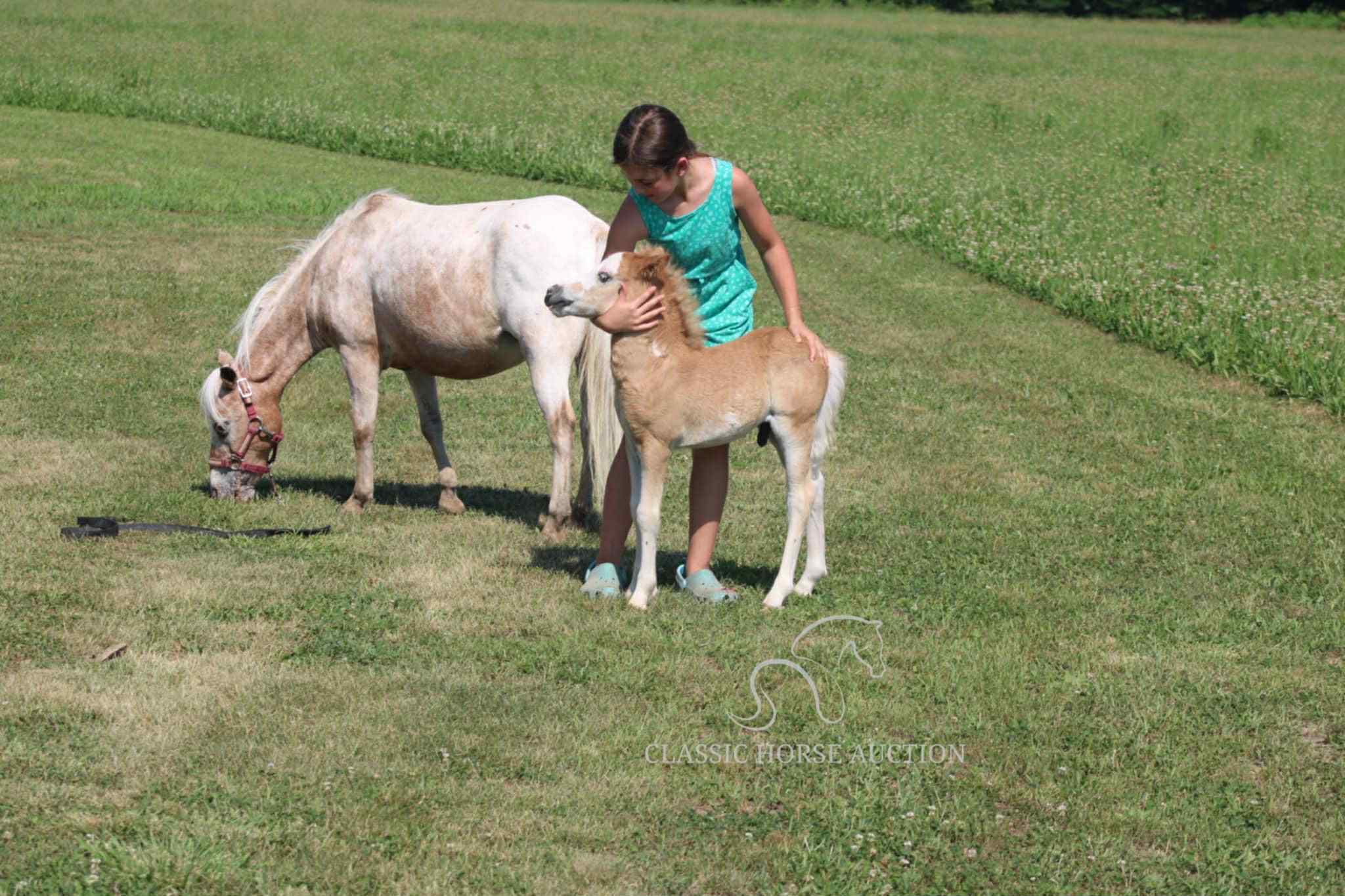 STRAWBERRY & CURLY - Image 9