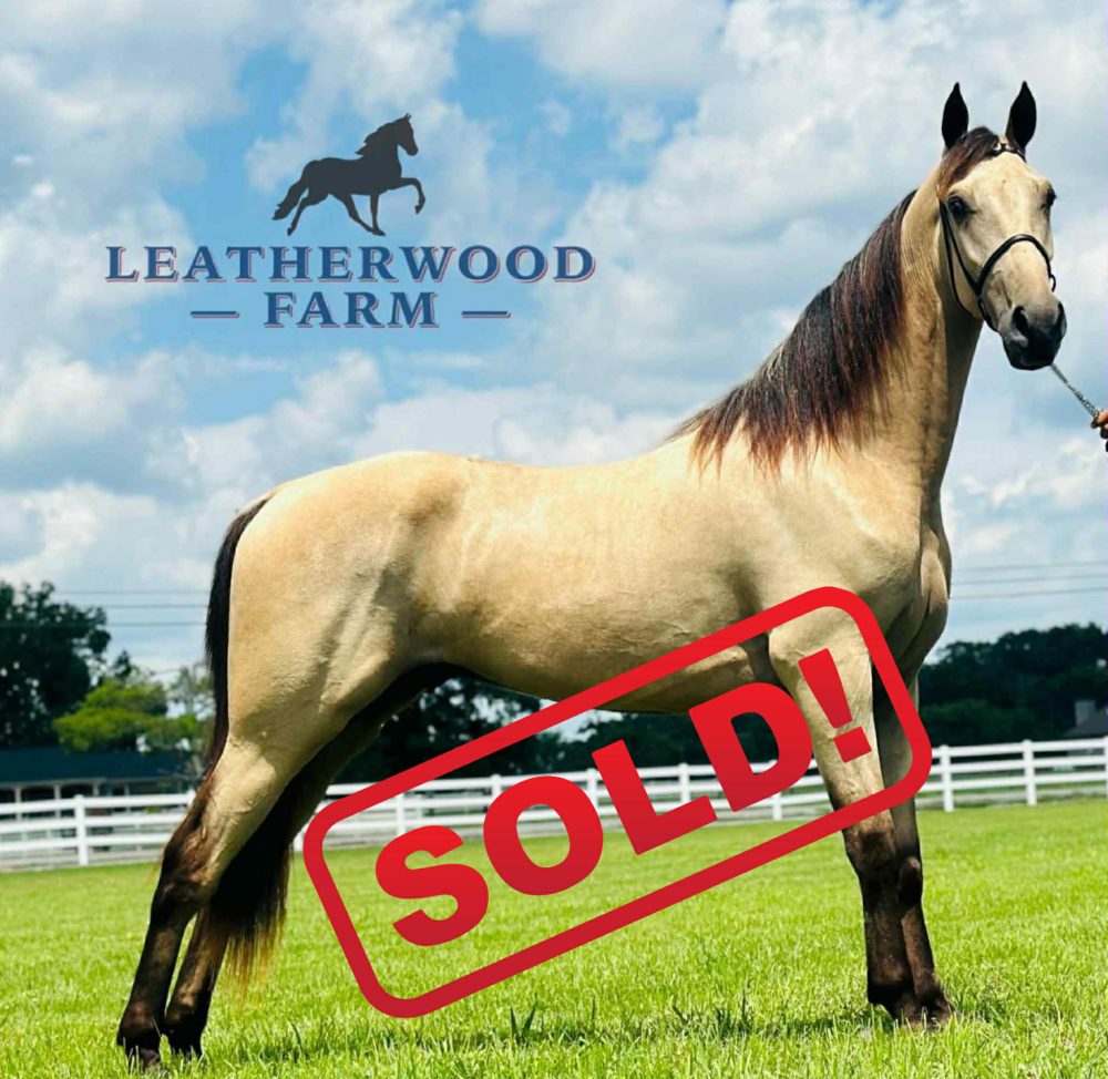 BUCK'S WALK THE LINE "WALKER"