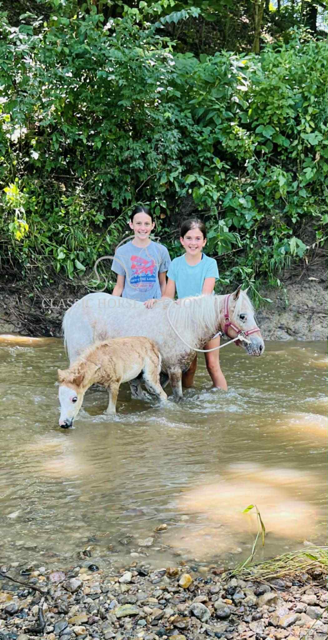 STRAWBERRY & CURLY - Image 32