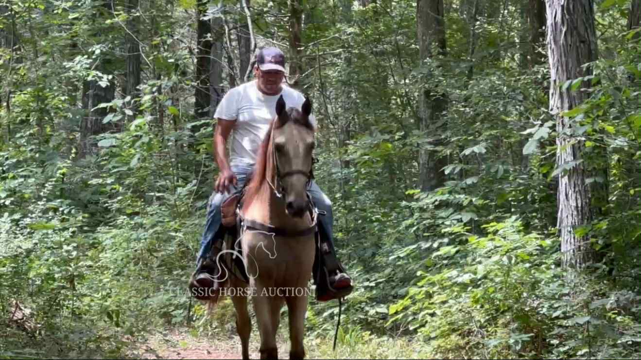 BUCK'S WALK THE LINE "WALKER" - Image 4