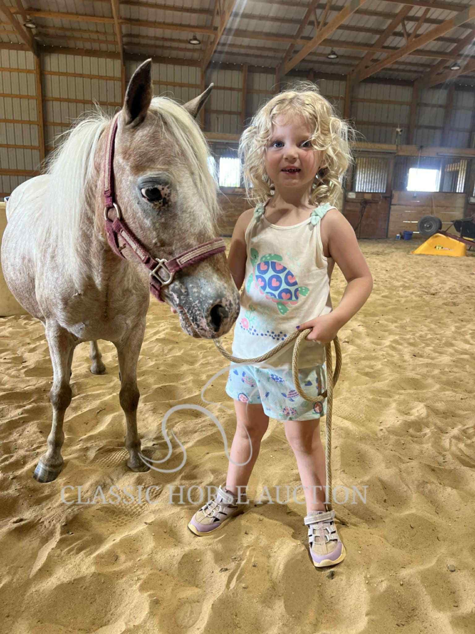 STRAWBERRY & CURLY - Image 36