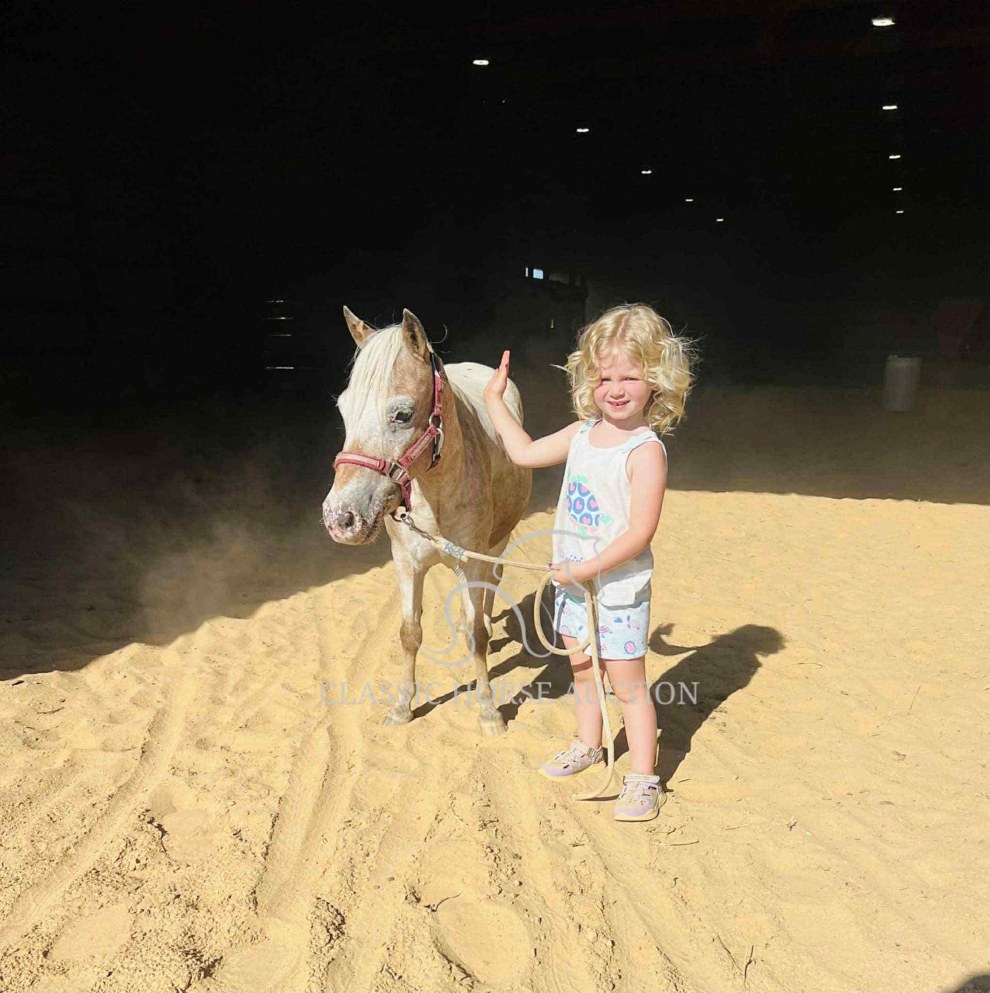 STRAWBERRY & CURLY - Image 37