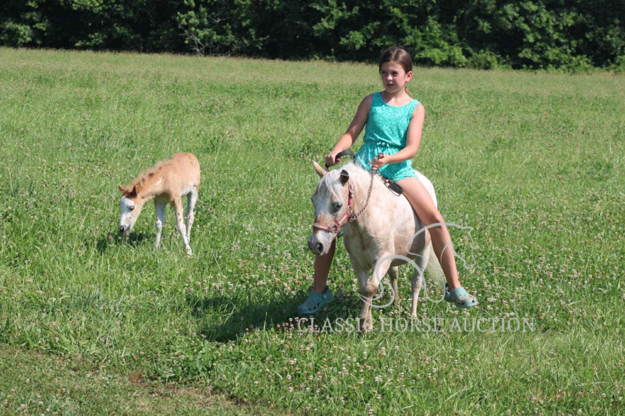 STRAWBERRY & CURLY - Image 21