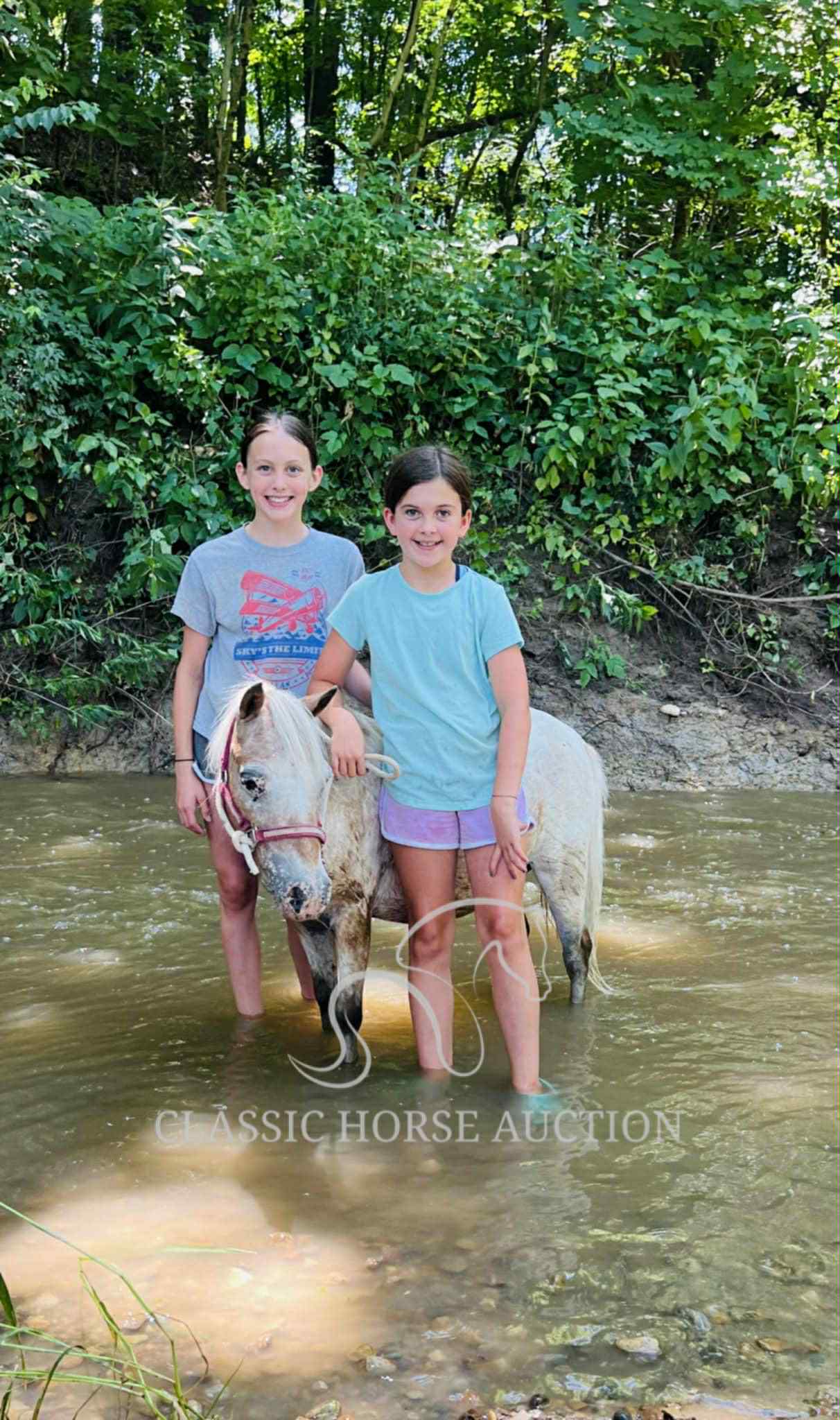 STRAWBERRY & CURLY - Image 22