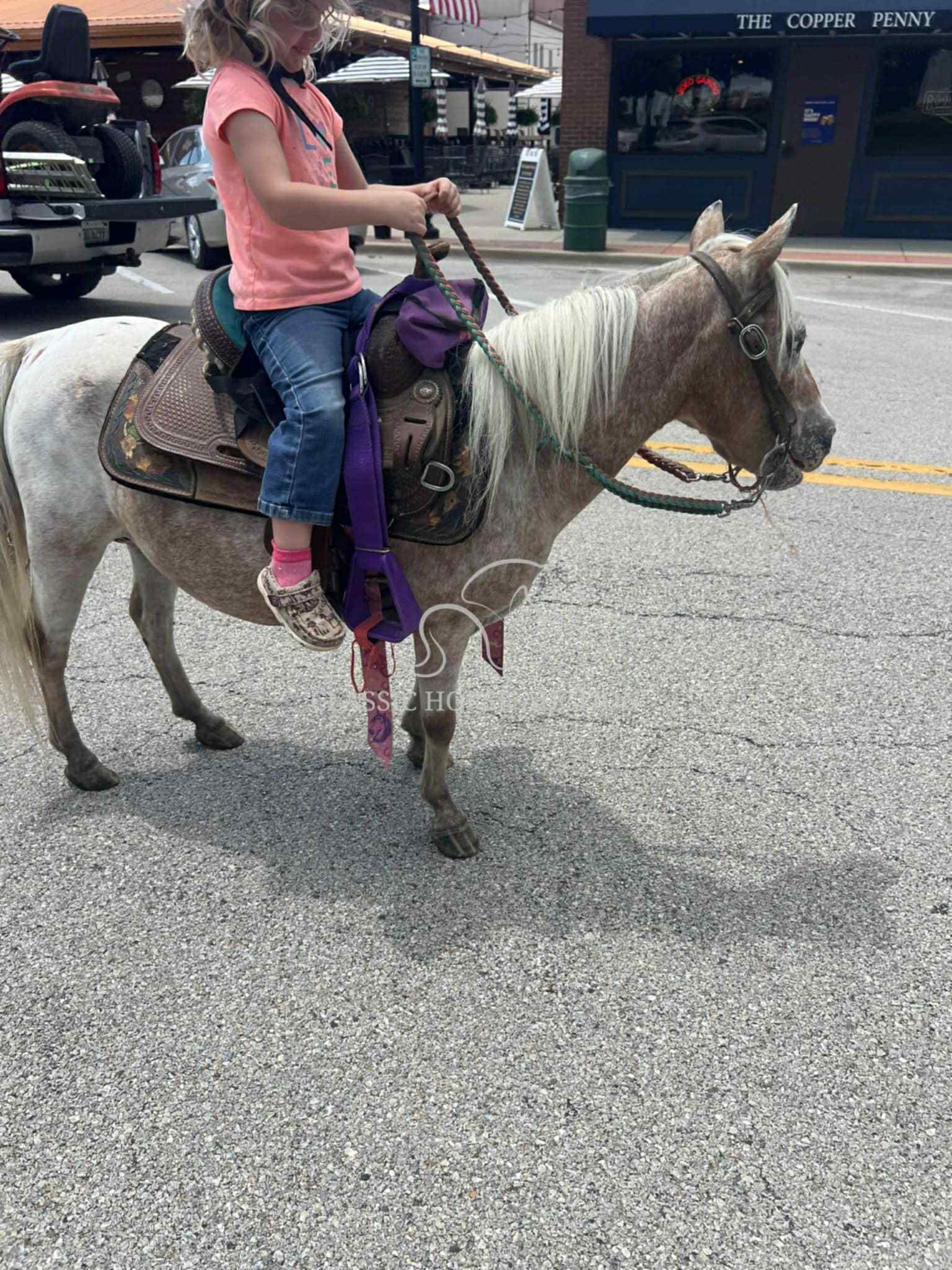 STRAWBERRY & CURLY - Image 40