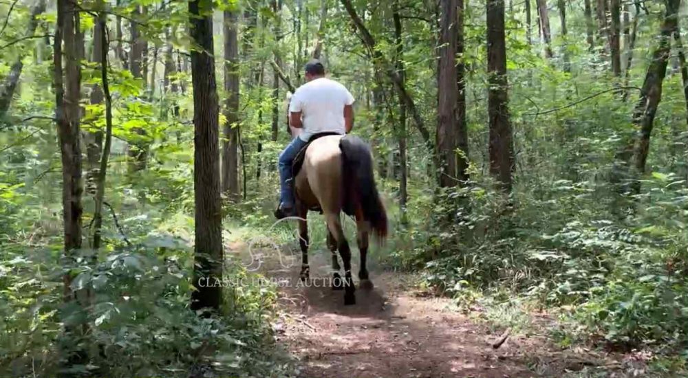 BUCK'S WALK THE LINE "WALKER" - Image 16