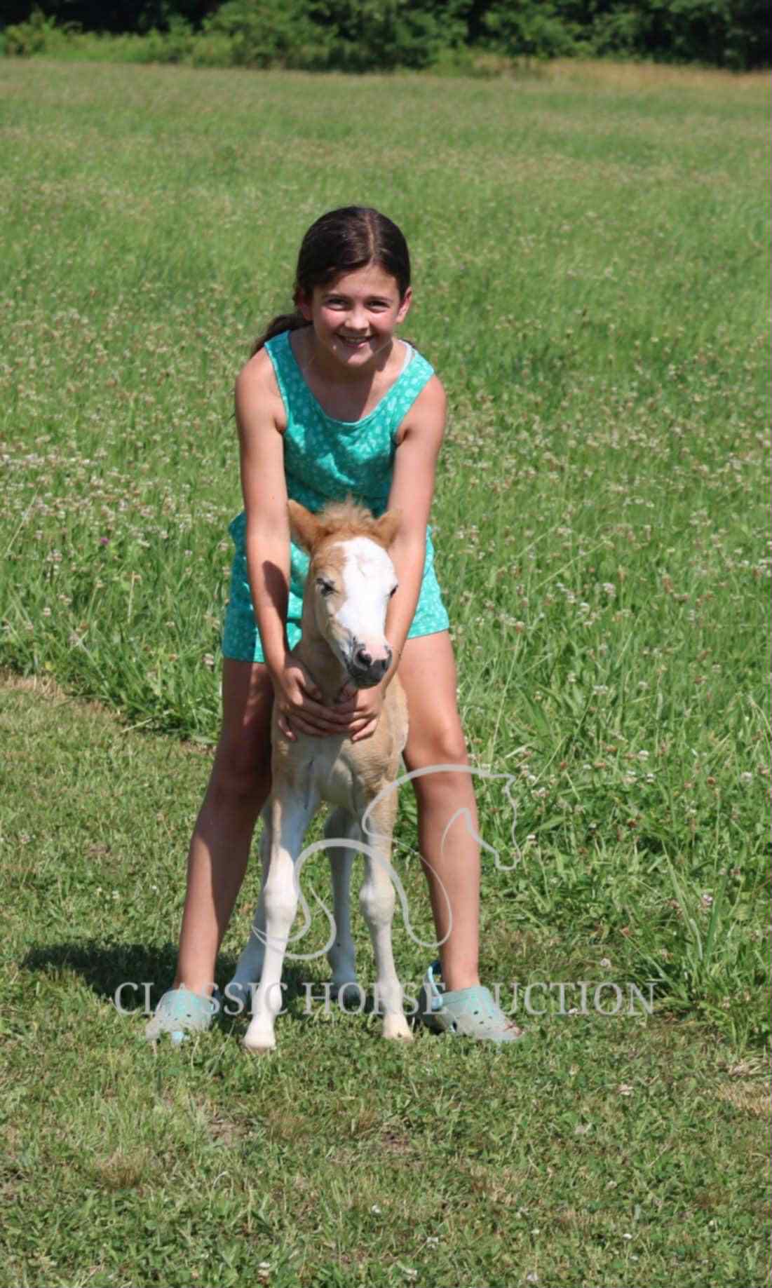 STRAWBERRY & CURLY - Image 28