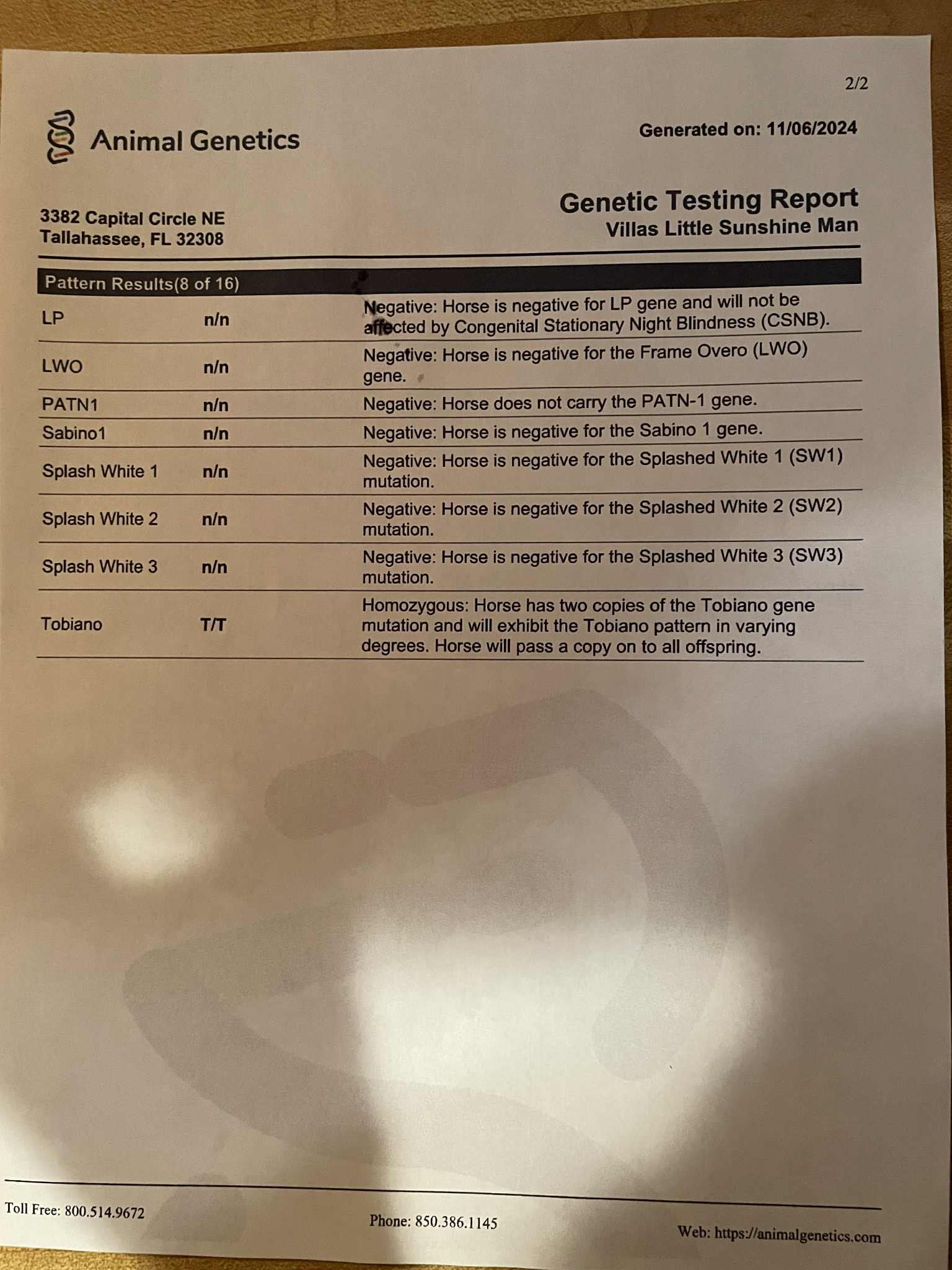 VILLAS LITTLE SUNSHINE MAN - Image 11