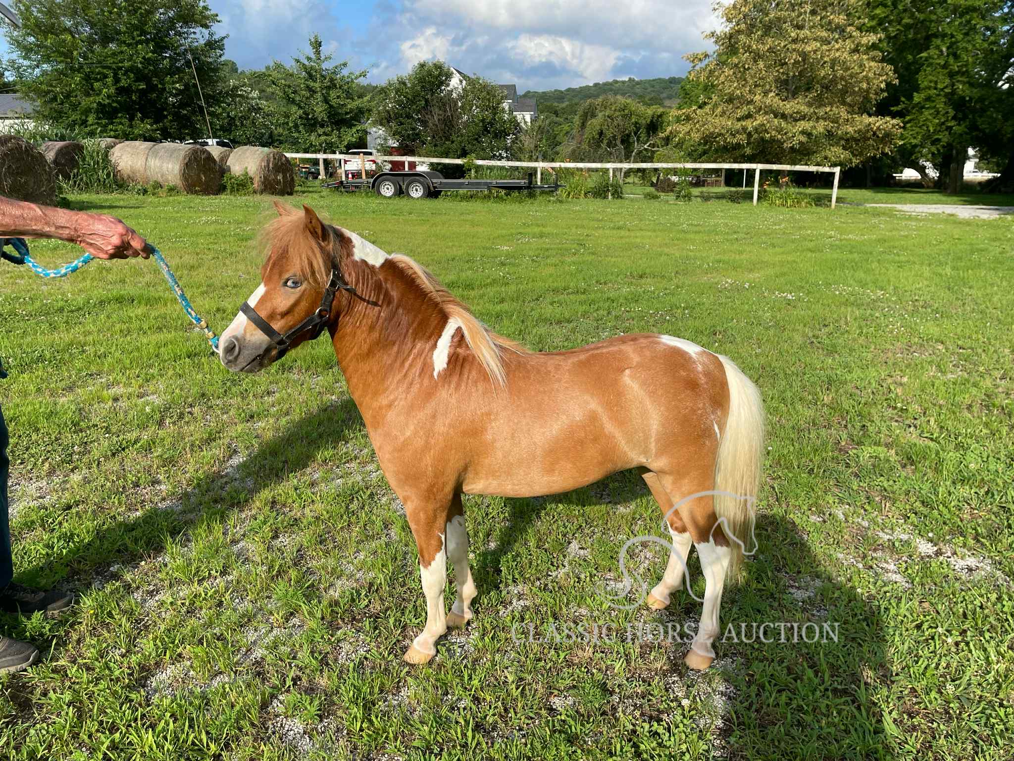 VILLAS LITTLE SUNSHINE MAN - Image 2