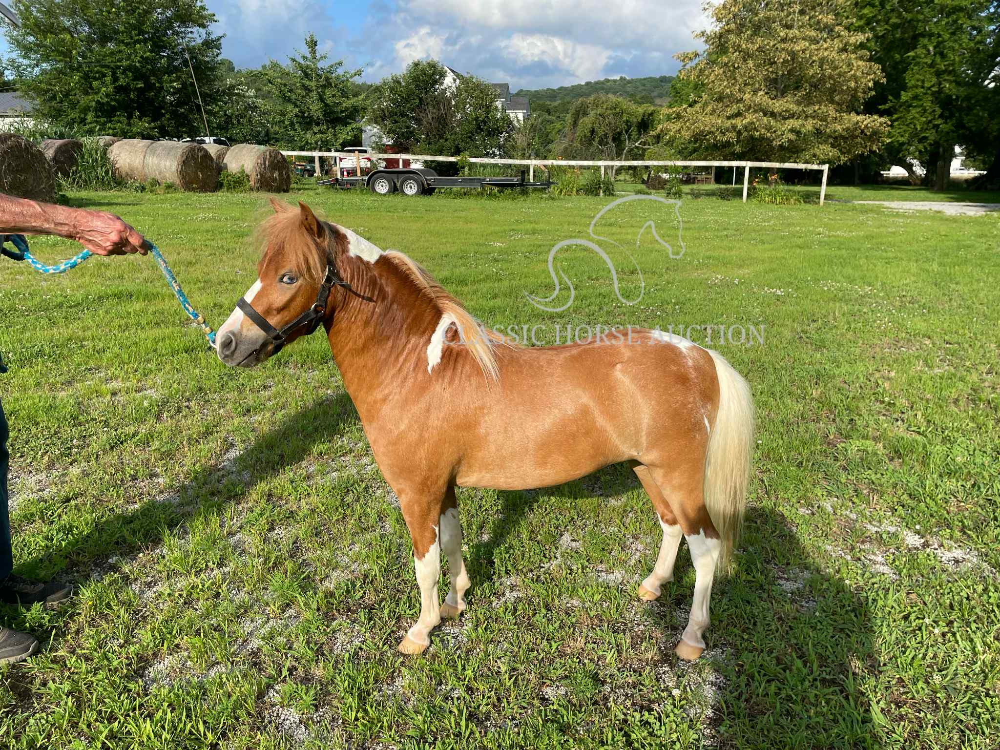 VILLAS LITTLE SUNSHINE MAN