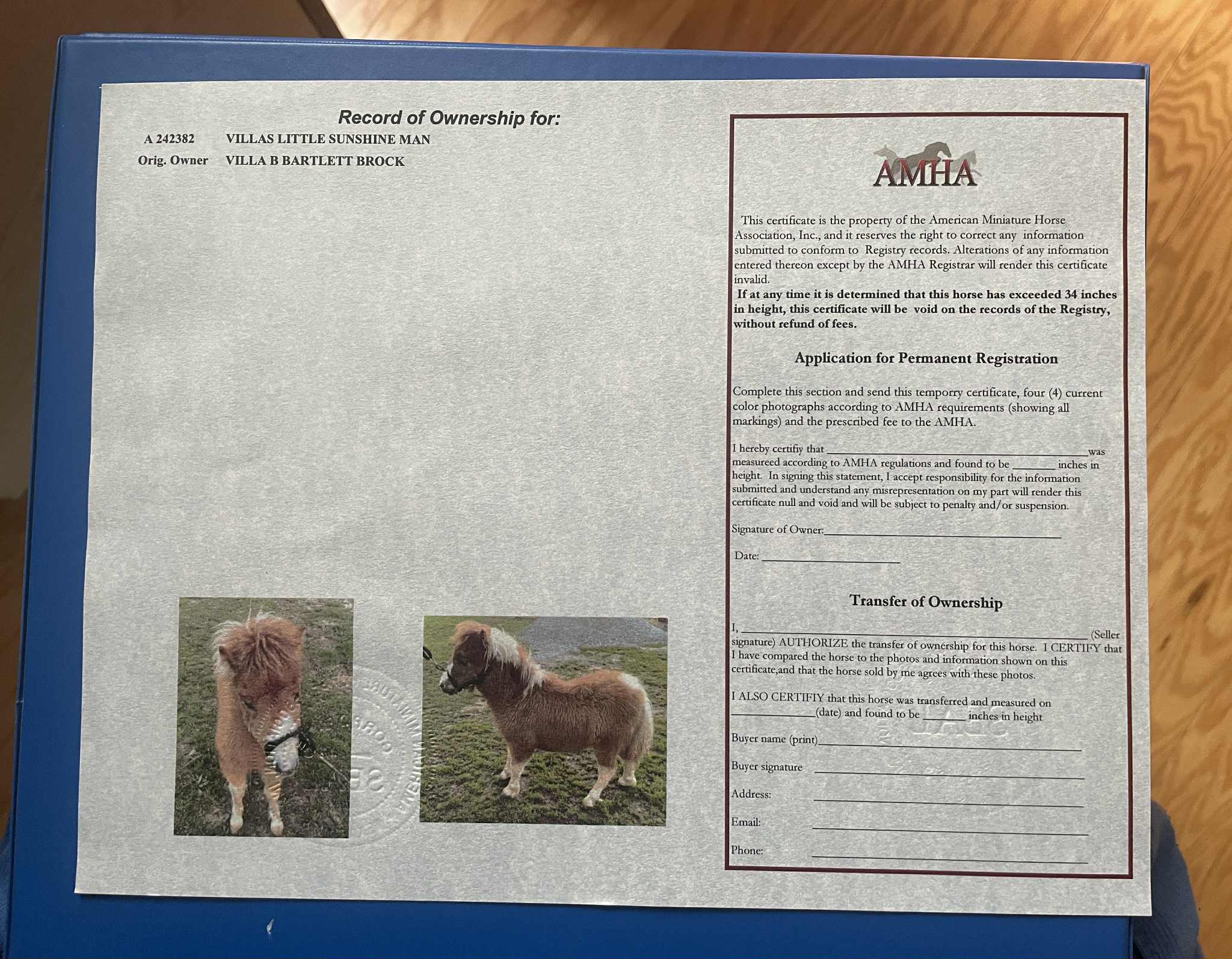 VILLAS LITTLE SUNSHINE MAN - Image 8