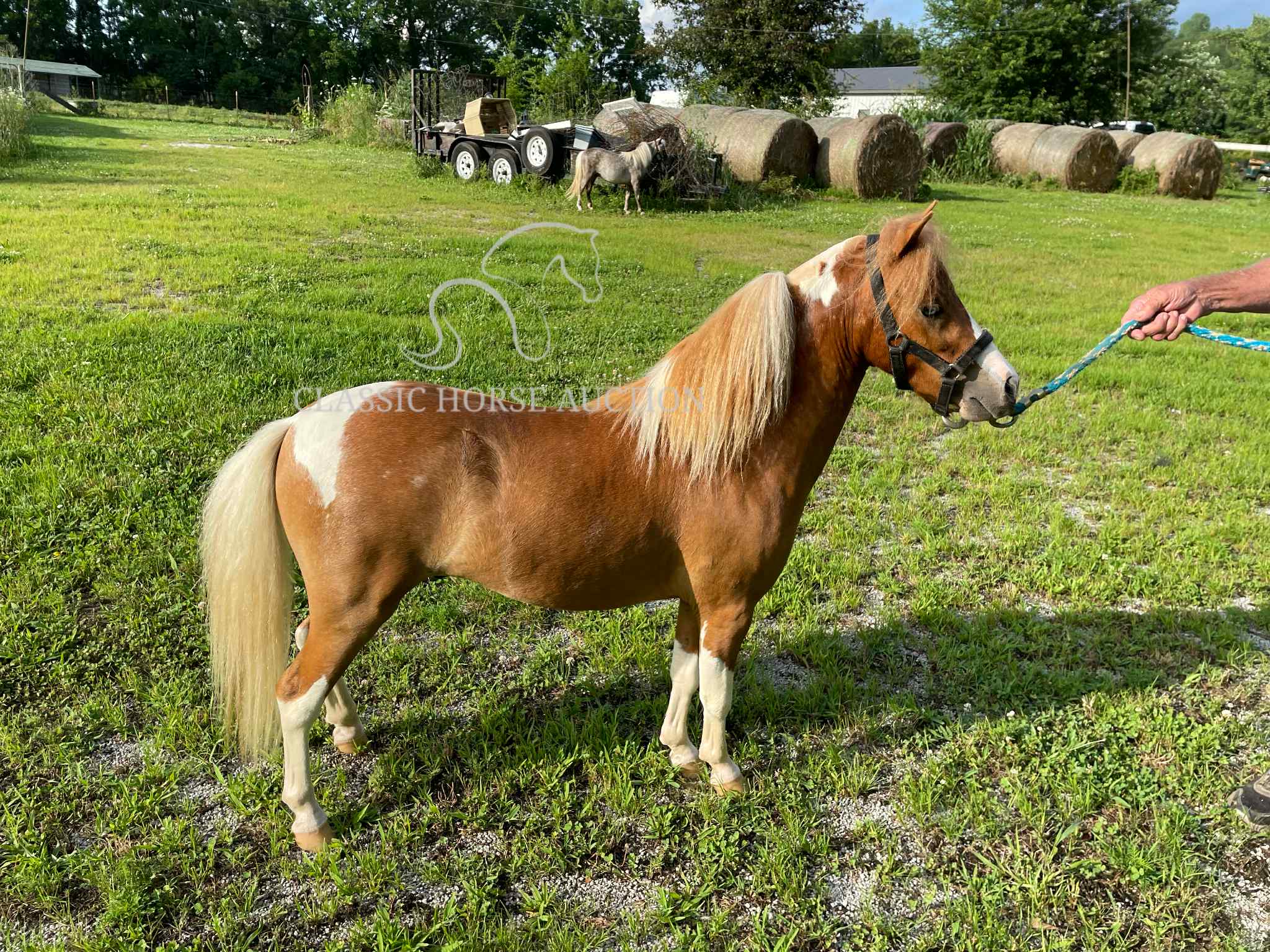 VILLAS LITTLE SUNSHINE MAN - Image 3