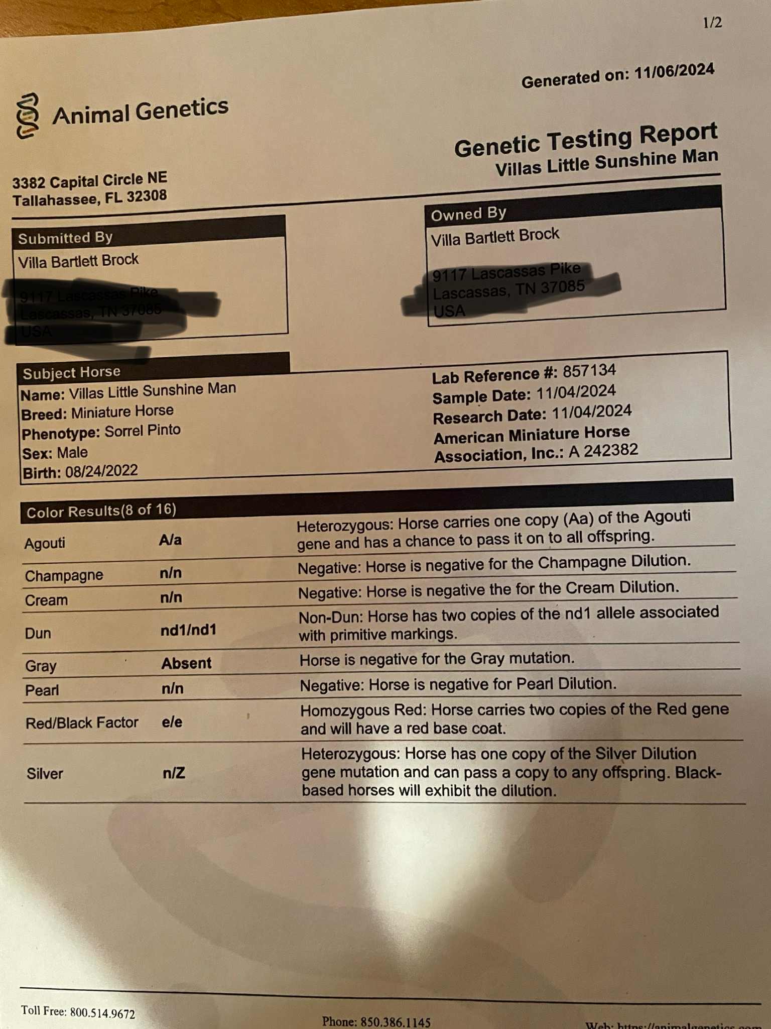 VILLAS LITTLE SUNSHINE MAN - Image 12