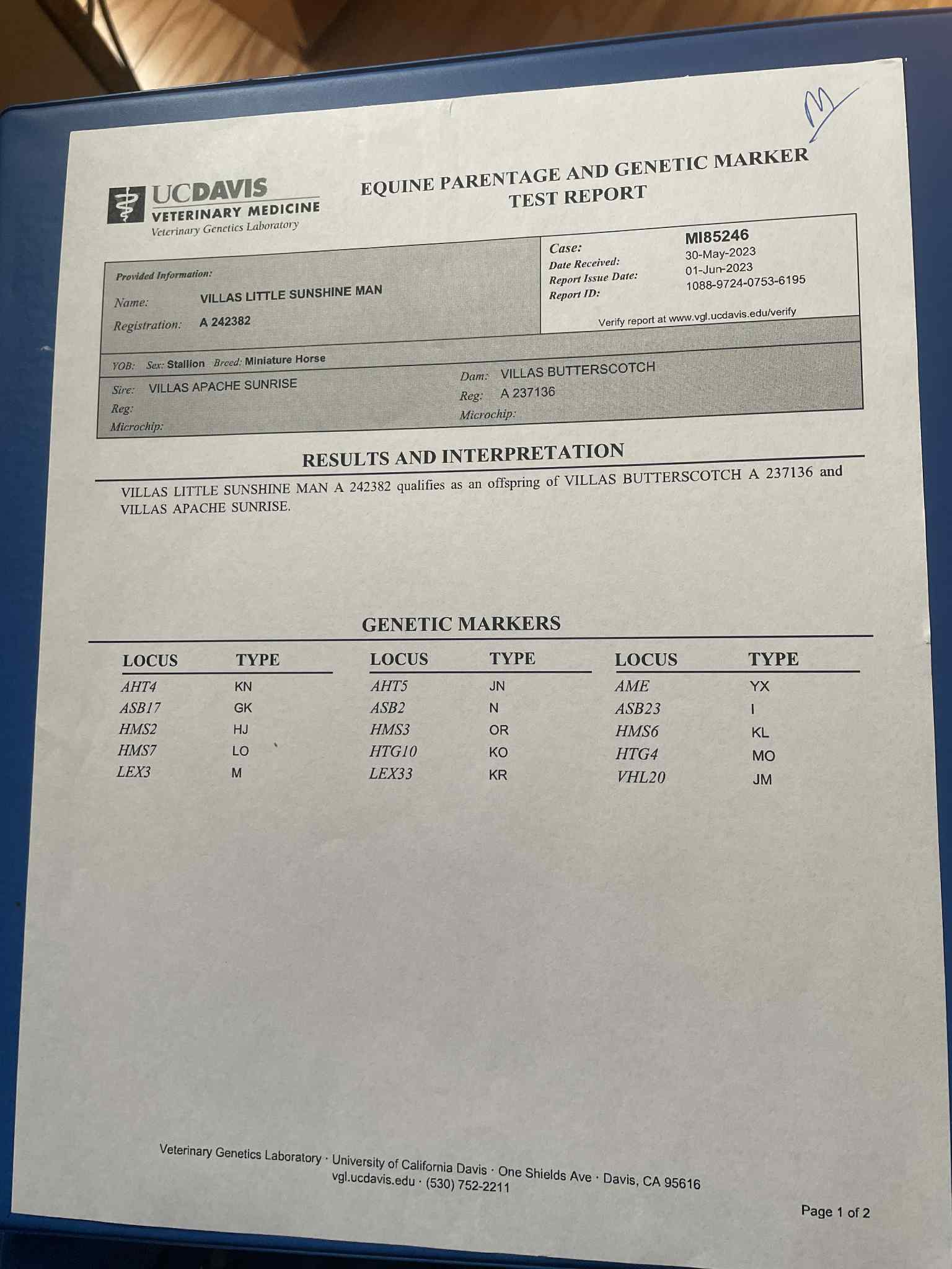 VILLAS LITTLE SUNSHINE MAN - Image 10