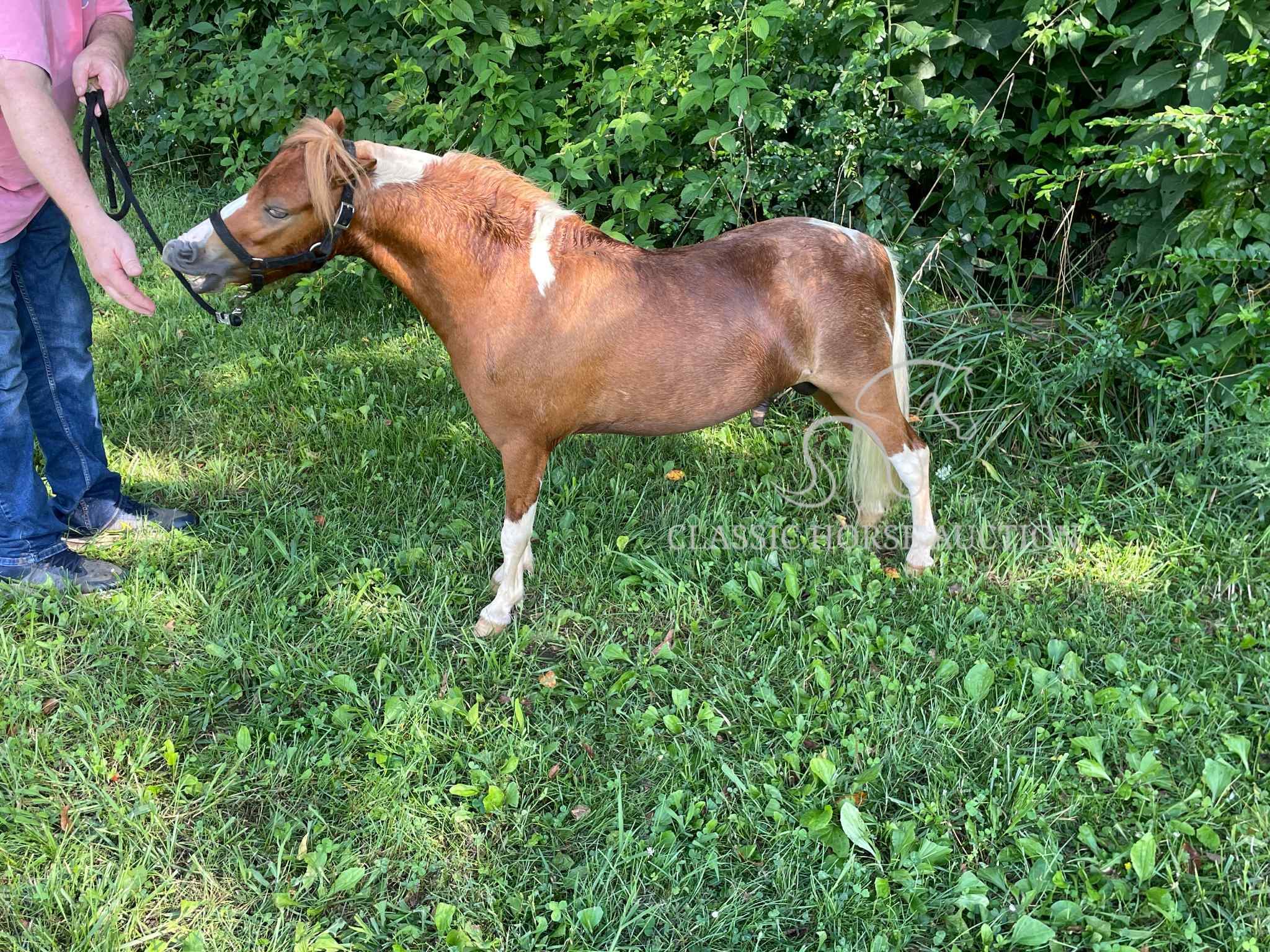 VILLAS LITTLE SUNSHINE MAN - Image 6