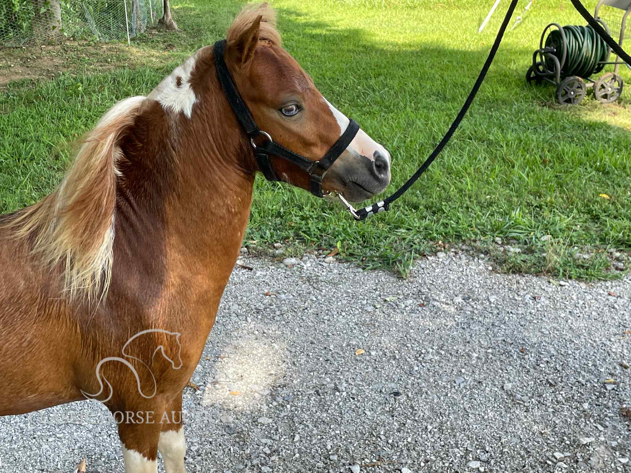 VILLAS LITTLE SUNSHINE MAN - Image 7