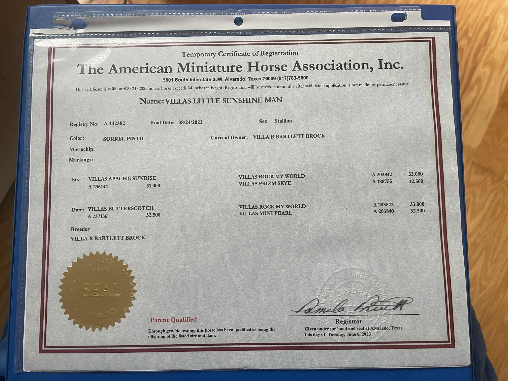 VILLAS LITTLE SUNSHINE MAN - Image 9