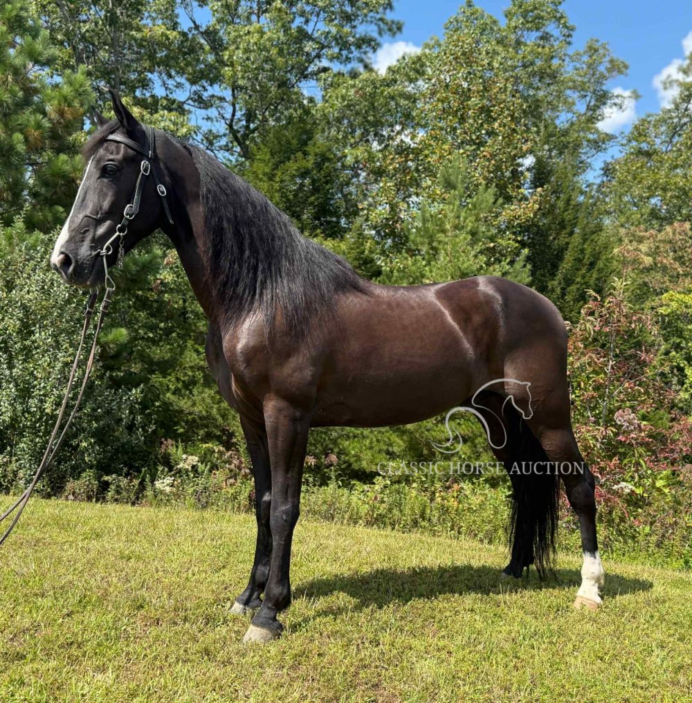 STRONGER THAN THE STORM "STORM"