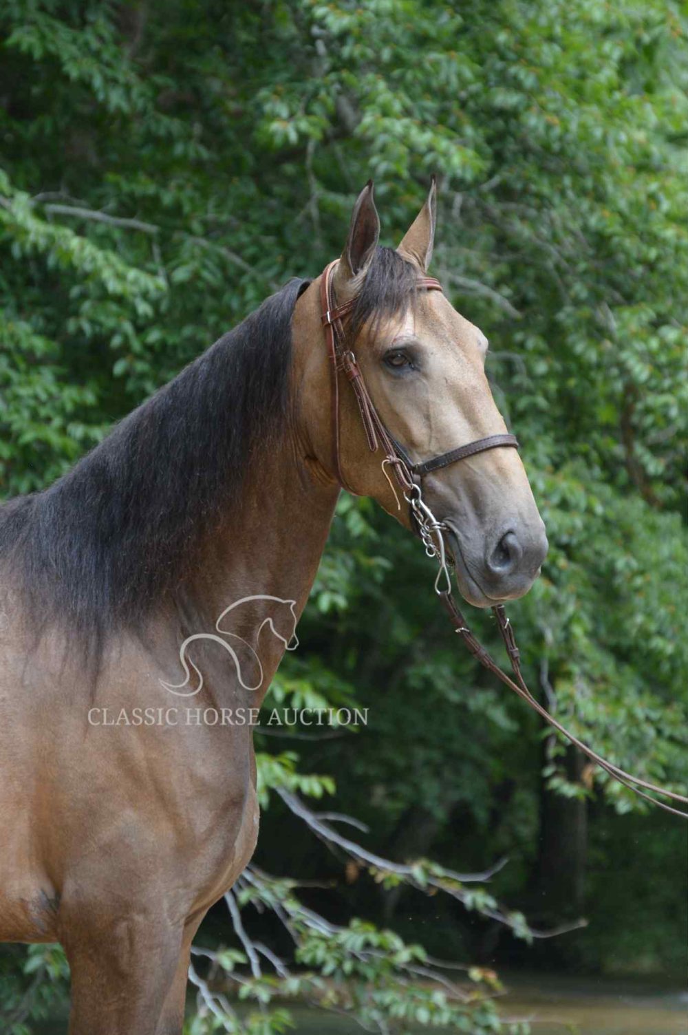 SWEET SAYONARA MHF "BETH"  - Image 8
