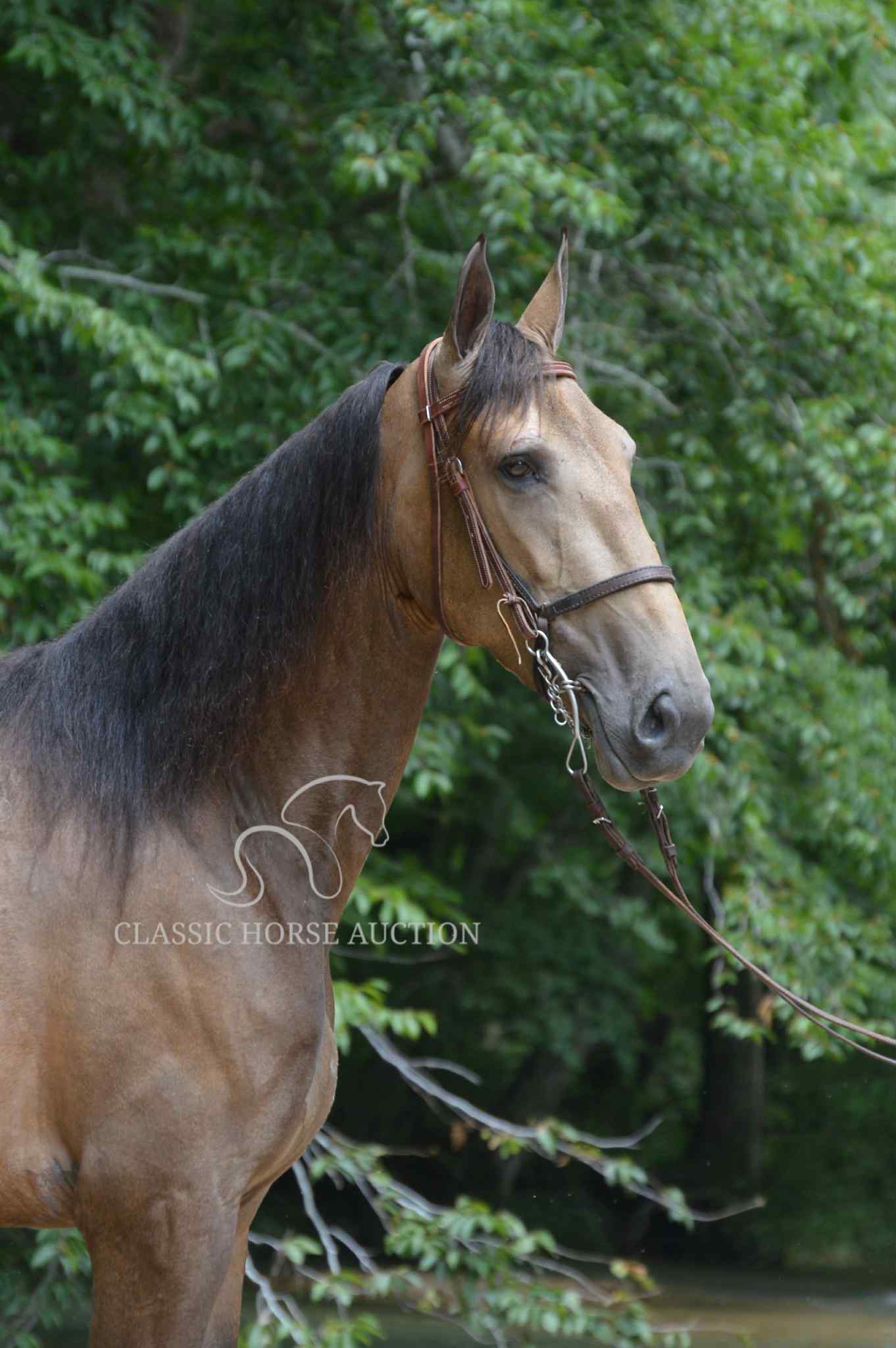 SWEET SAYONARA MHF "BETH"  - Image 8