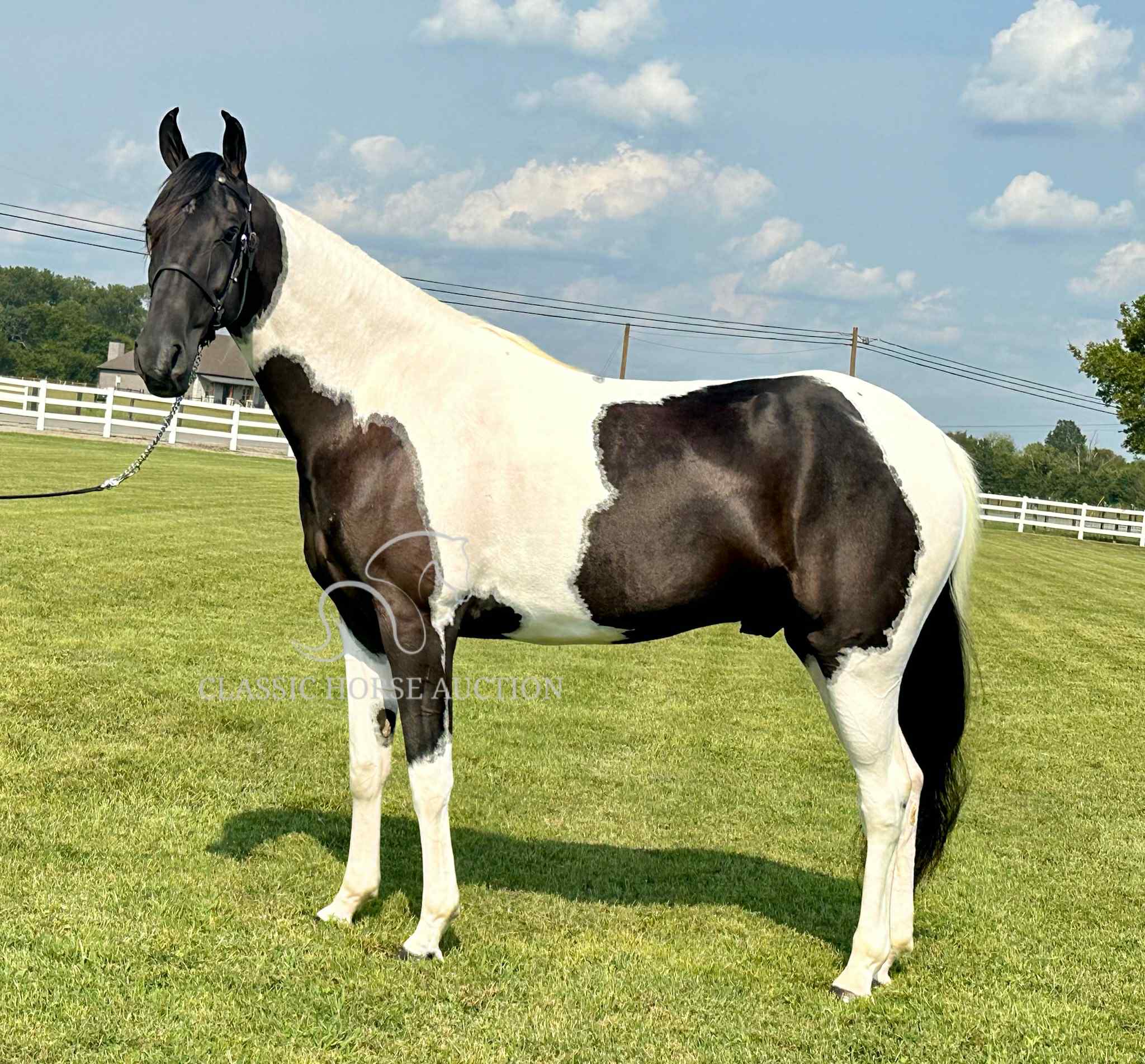NOVA