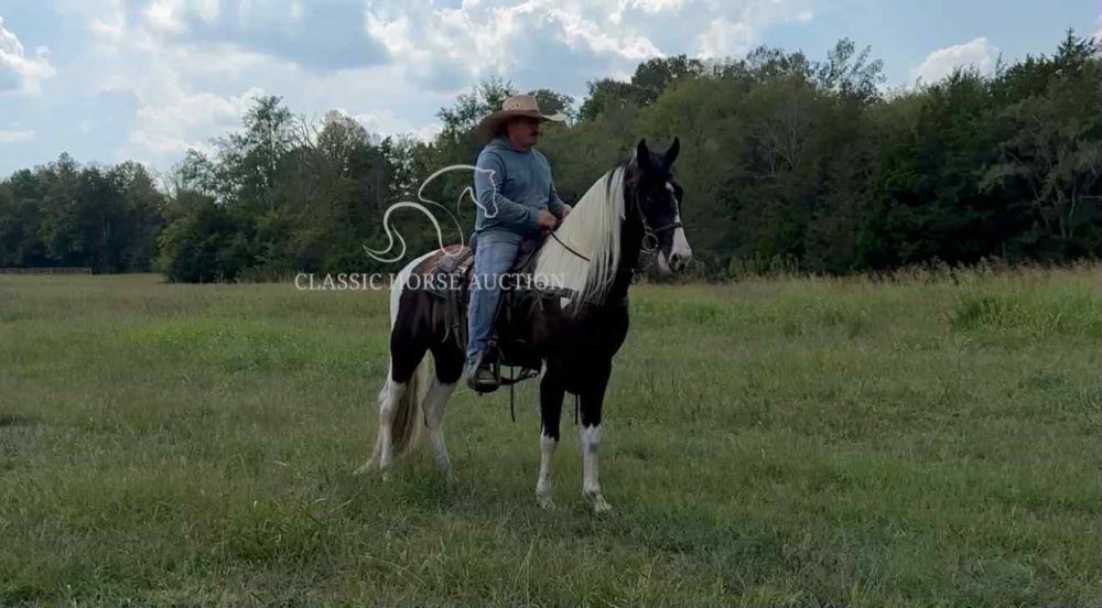 KOE WETZEL - Image 6