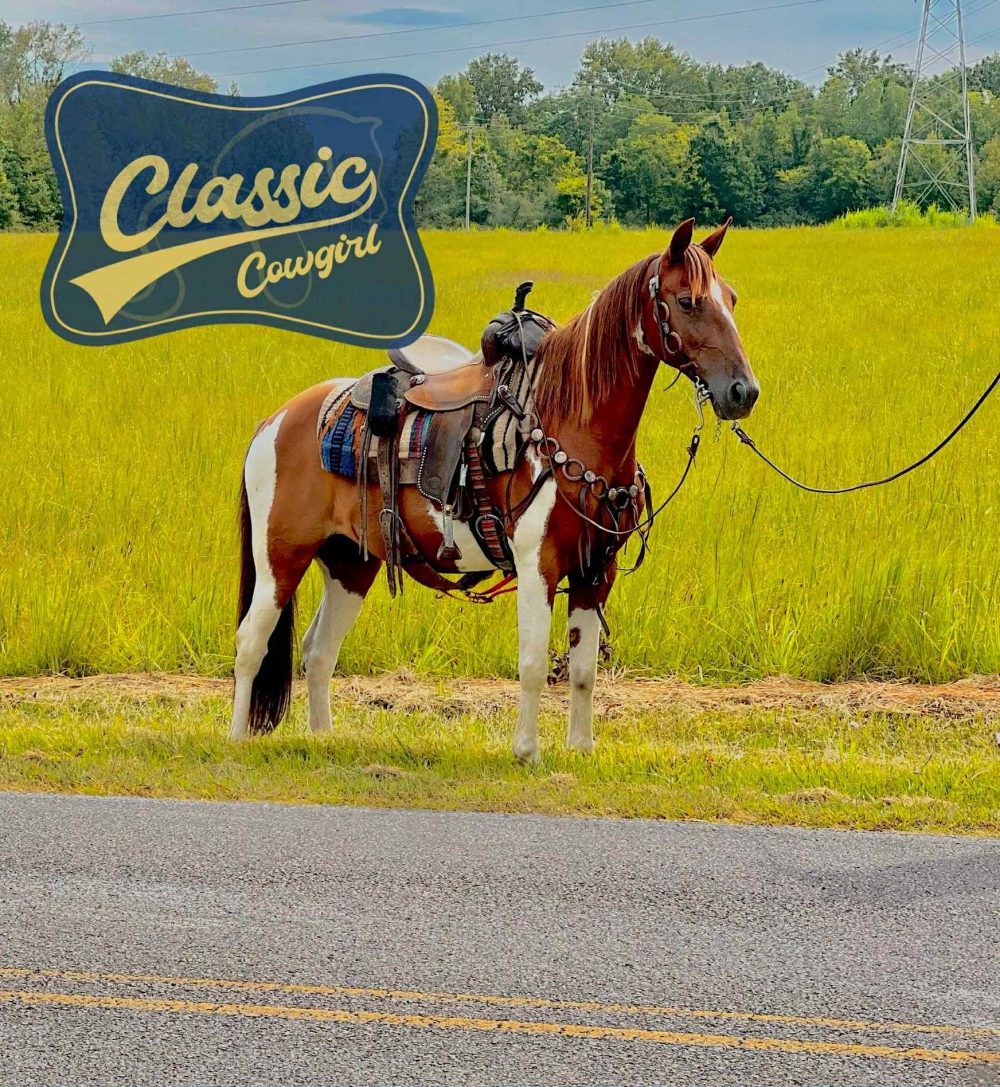 FREEDOM **𝗡𝗘𝗪 𝗩𝗜𝗗𝗘𝗢 **