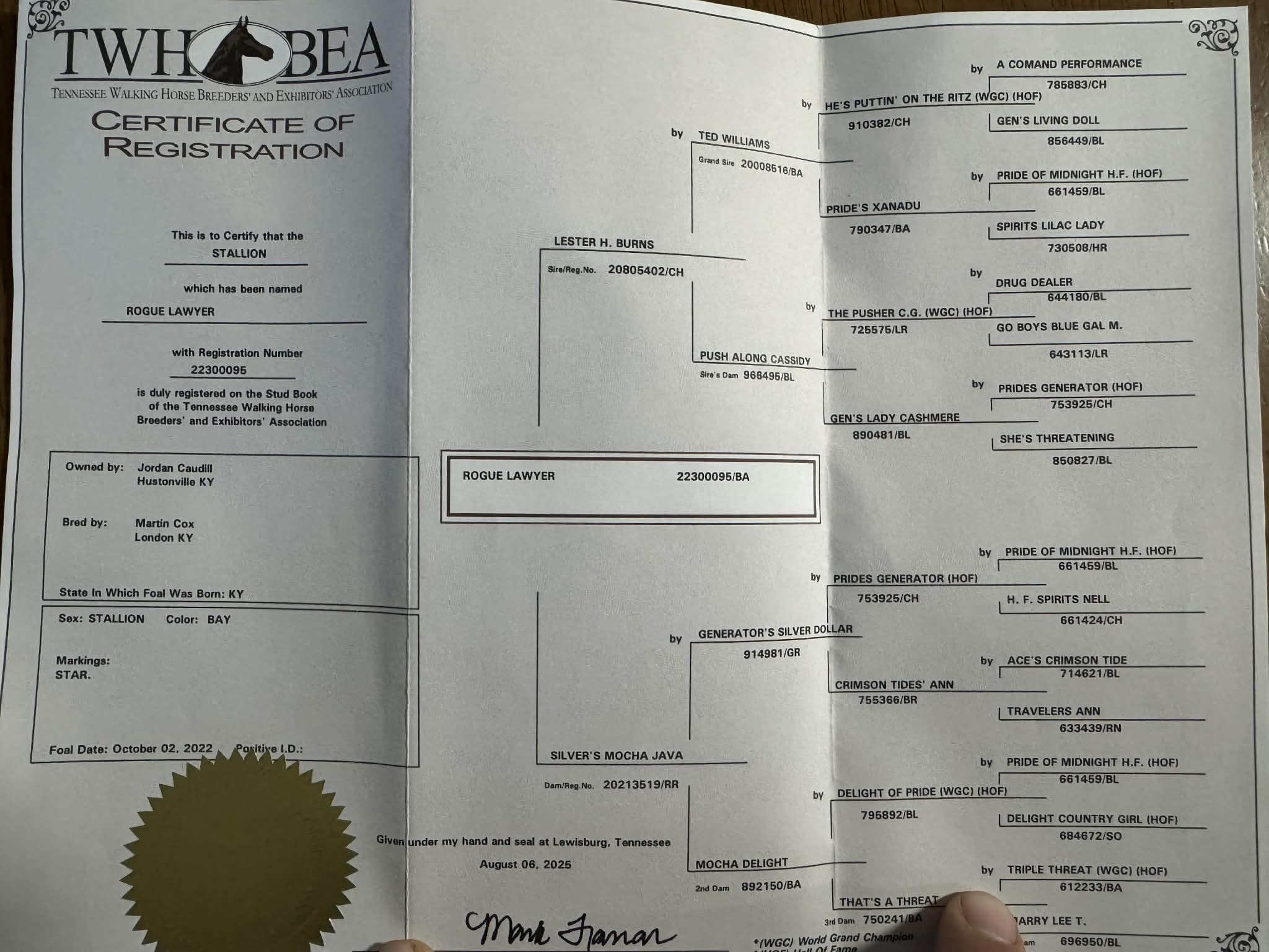 ROGUE LAWYER - Image 2