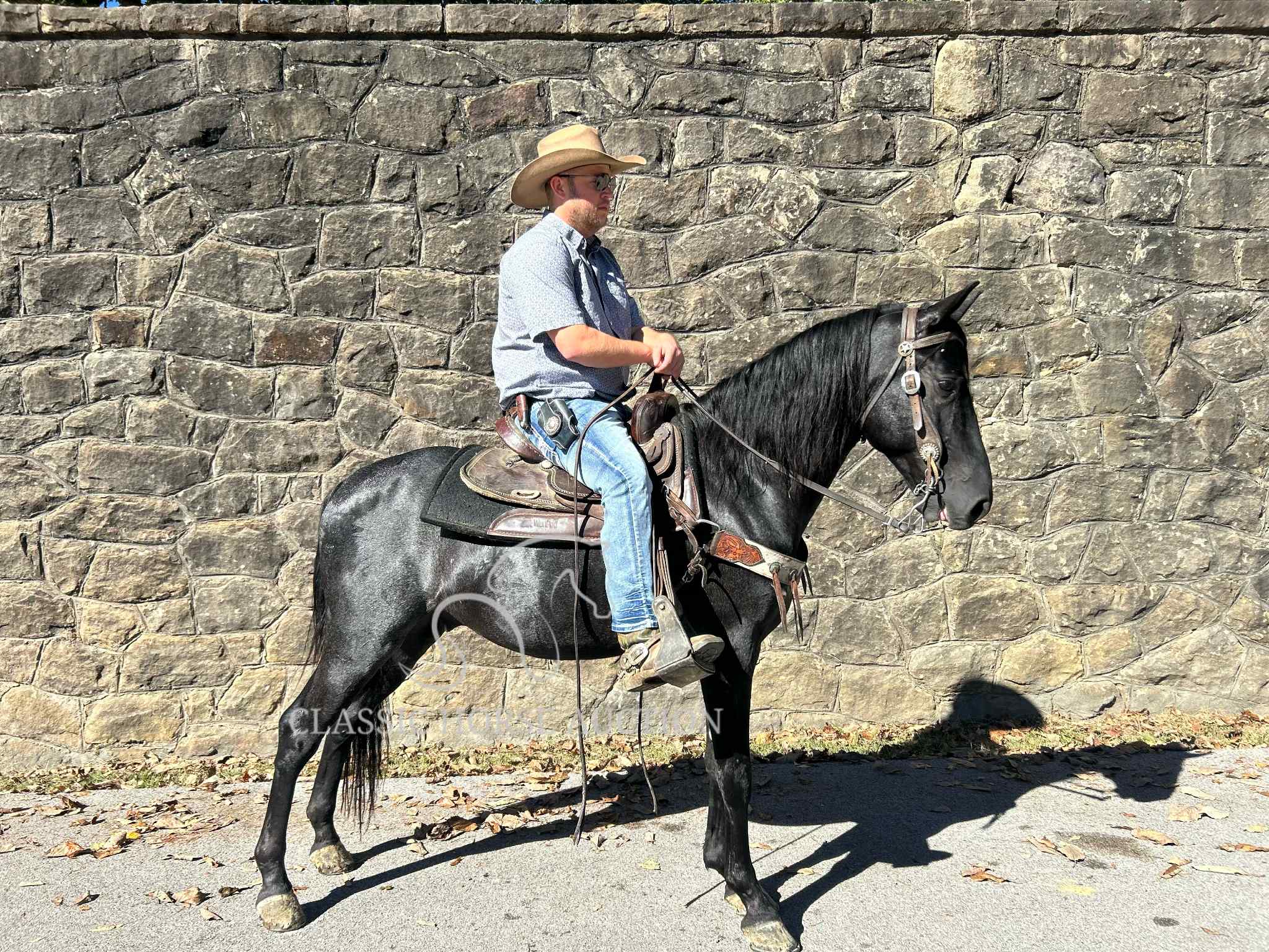 KCB Popa Top - Image 4