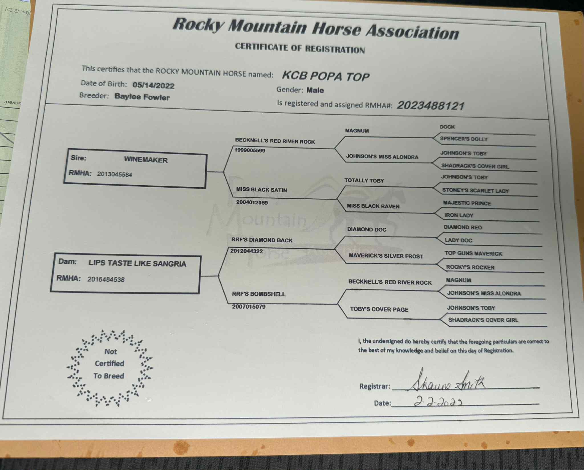 KCB Popa Top - Image 9