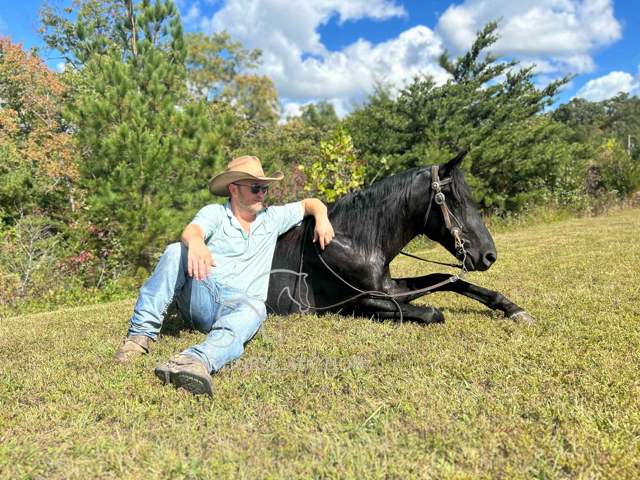 KCB Popa Top - Image 3