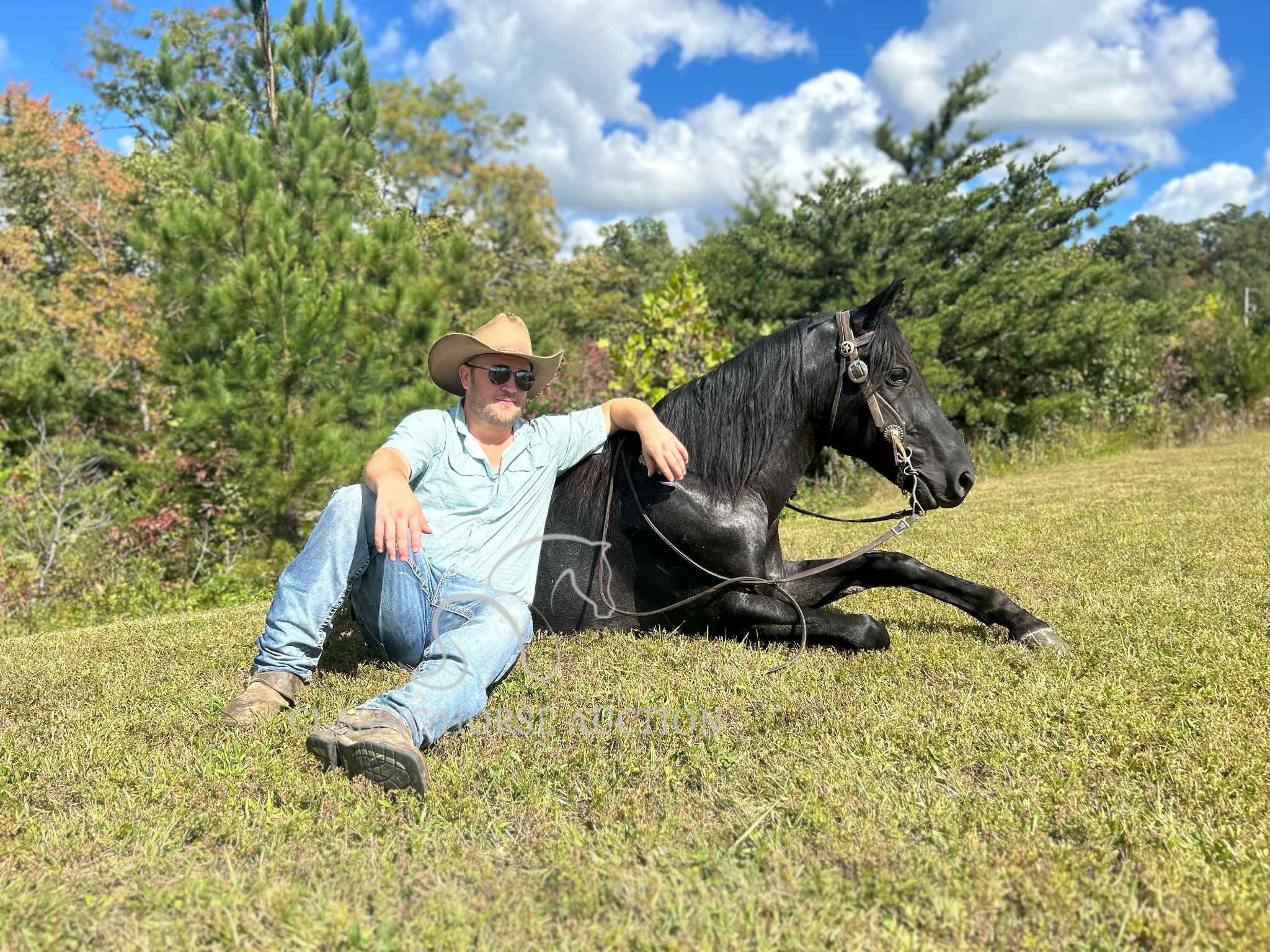 KCB Popa Top - Image 5