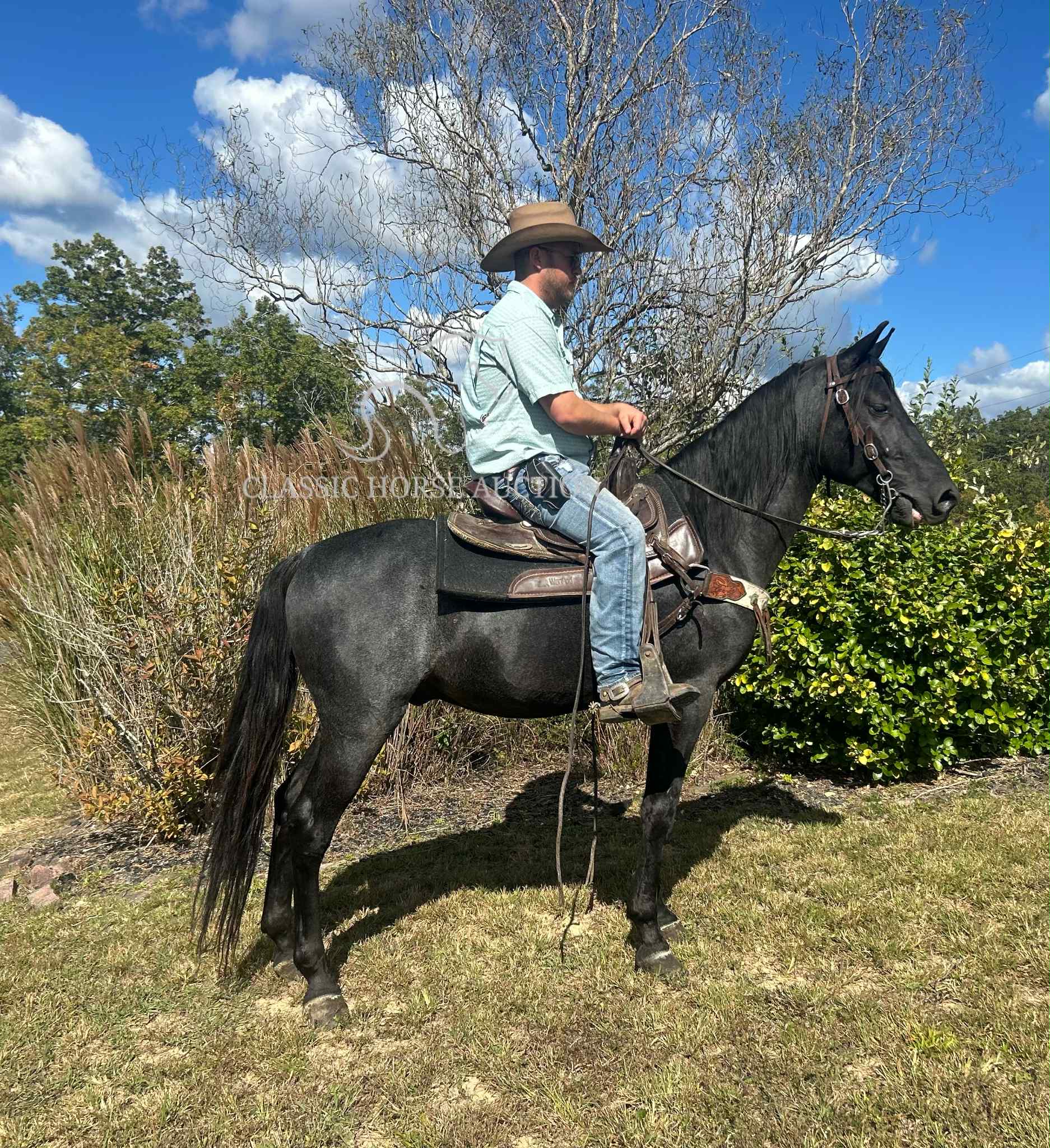 KCB Popa Top - Image 6