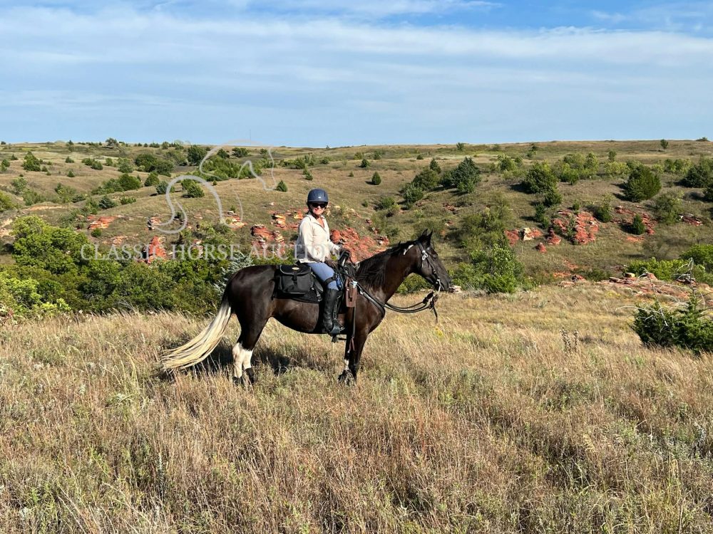 I'M POCHAHAUNTS "COCO"