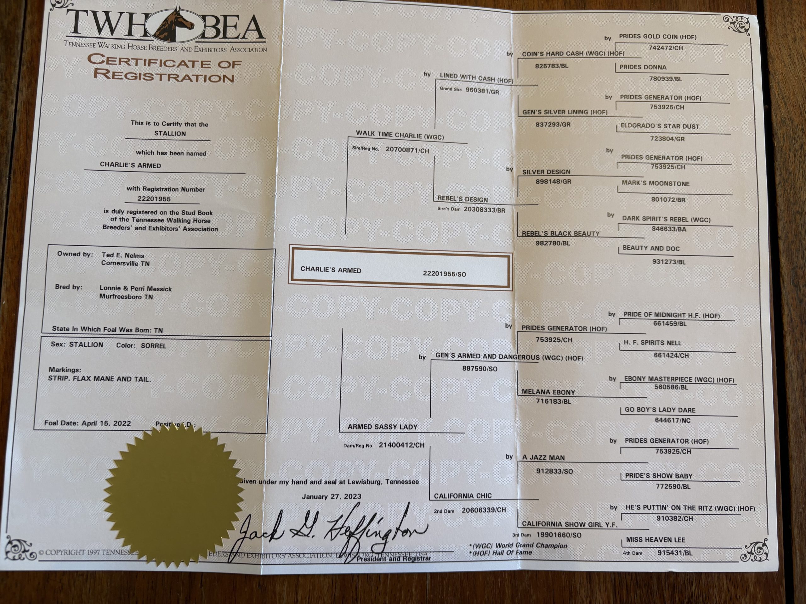 CHARLIE'S ARMED "TN" - Image 6